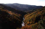 autumn1.jpg (21493 bytes)