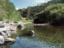 river.jpg (24984 bytes)